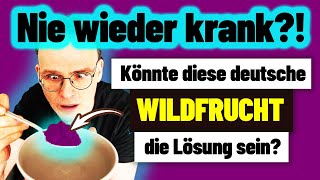 Deutsche Wildfrucht sorgt für weltweites Staunen [upl. by Llednil]