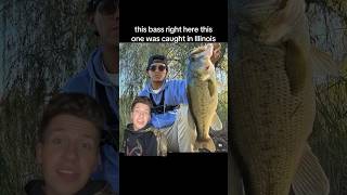 Fishing tips for Bass AC fishing largemouthbass bassfishing [upl. by Illehs695]