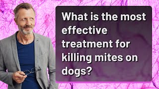 What is the most effective treatment for killing mites on dogs [upl. by Paza444]