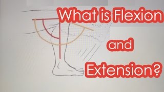 What is Flexion and Extension [upl. by Camille28]