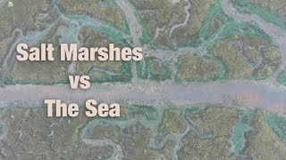 Salt Marshes vs The Sea [upl. by Nalor]