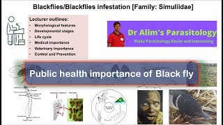 Medical importance of Black flyPublic health importance of Black fly [upl. by Annirok]