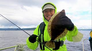 Lingcod Fishing in Puget Sound Seattle Washington at First Day of Open Season  西雅图潽吉海湾捕钓深海鳕鱼 [upl. by Polivy561]