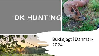 Bukkejagt i Danmark 2024 [upl. by Shir547]