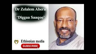 Zelalem Abera Diggaa Saaqoo oromo poem [upl. by Drarreg301]