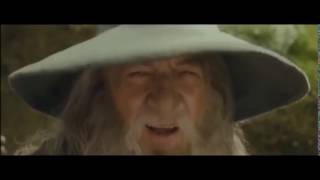 HILARIOUS GANDALF SAXAPHONE VIDEO VOLDEMORT REMIXEDIT GANDALF SAX NOD [upl. by Babby]