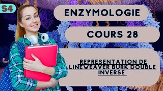 Enzymologie S4 representation de Lineweaver Burk double inverse cour svi [upl. by Hu]