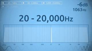 20  20000 Hz Audio Sweep  Range of Human Hearing [upl. by Alue979]