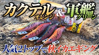 カクテル＆軍艦！エギ人気2トップで秋イカエギング！予想通り爆釣になりました…。。 [upl. by Salli]