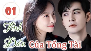 TÌNH ĐẦU CỦA TỔNG TÀI  Phần 1  Tổng Tài Theo Đuổi Người Yêu Cũ Sau Tám Năm Bản Đặc Biệt [upl. by Lleuqar334]