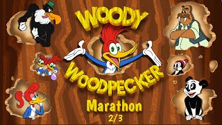 Woody Woodpecker Marathon Part 23  Woody Woodpecker [upl. by Dnalloh]