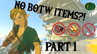 Beating Tears of the Kingdom without using Breath of the Wild items Part 1 [upl. by Oludoet373]