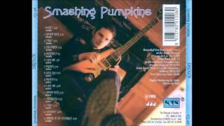 Smashing Pumpkins  Cherub Rock acoustic 93 [upl. by Neelahtak]