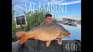 Pescuit la crap pe canicula Lac Bradeni standul 5 4k carpfishing [upl. by Marcello586]