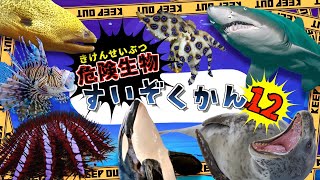 【海の危険生物】水族館へ行こう！12 【子供向け 海のいきものアニメ】海にいる危険な生き物が11種類登場するよ 子供が喜ぶ動く海の生き物図鑑★【海の生き物の知育動画】サメ シャチ [upl. by Bronson]