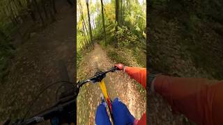 Some Speed and Flow mtb bike gopro [upl. by Airat]