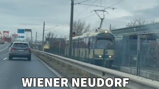 Wiener Neudorf  Wiener Lokalbahnen  Suburban Tram  Badner Bahn [upl. by Fernand966]