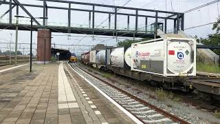 DB Cargo Vectron amp PKP Cargo Vectron  Utrecht CS Roosendaal Rotterdam CS  4K [upl. by Pearson]