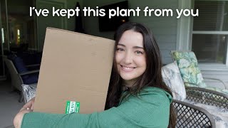 I Bought My New Favorite Plant  Part 1 The Unboxing [upl. by Rhoades850]