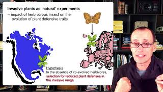 Week 5  Video 5  Plant Insect micro coevolution [upl. by Virginia]