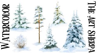 Snowy Pine Trees Study Easy How to Paint Watercolor Step by step  The Art Sherpa [upl. by Aleit]