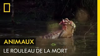 Le rouleau de la mort du crocodile [upl. by Fotina]