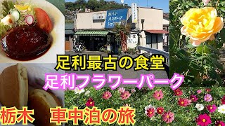 栃木県足利観光。北清軒食堂、足利フラワーパーク。秋の車中泊の旅vol3 [upl. by Lerud]