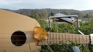 Auf drei Rädern in den Herbst  mit Ukulele und Mundharmonika [upl. by Dukey]