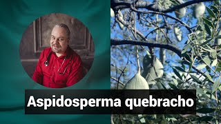 Разбор препарата АСПИДОСПЕРМА КВЕБРАХО ASPIDOSPERMA QUEBRACHO  Гомеопатия и здоровье [upl. by Hafeenah]