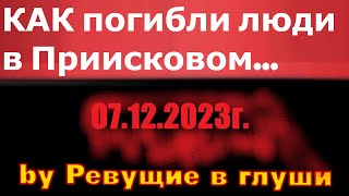 Почему погибли люди в Приисковом Что произошло за перевалом [upl. by Selima]