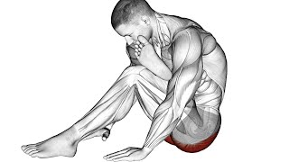 The 12 Best Mobility Exercises for Better Movement [upl. by Tchao853]