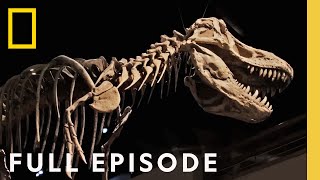 Secrets of the Dinosaurs The Real Jurassic Americas Full Episode  Drain the Oceans [upl. by Birgitta]