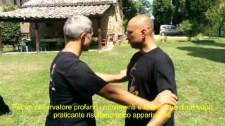 Marcello Sidoti free push hands basics [upl. by Hey]