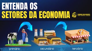 SETORES DA ECONOMIA – Primário Secundário Terciário  Resumo [upl. by Landa]