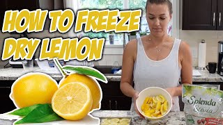 How to Freeze Dry Lemon [upl. by Morgan]