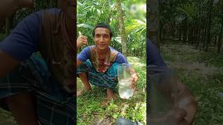 make filter water skills camping singlemom bushcraft outdoors skills sentihub experiment [upl. by Sherrer]