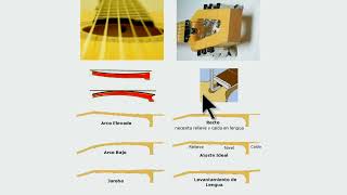 Como ajustar el alma de la guitarra  Adjust the soul of the guitar  Truss rod [upl. by Ahsekahs]