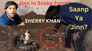 Sherry Khan  Chudail Saanp Bntay Dekhein Pahli Baar  REACTION [upl. by Ilatfen]