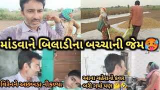 આના ચહેરાનો કલર બરી ગયો પણ હવે મુકાય પણ નહીં 🤣  માડવાને બિલાડીના બચ્ચાની જેમ ફેરવ્યા જ રાખવો પડે છે [upl. by Nevag]