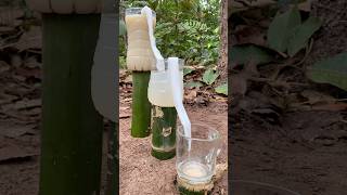 Survival Skills Amazing Dirty Water Purification Filter survival bushcraft camping shorts [upl. by Gilboa445]