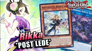 YUGIOH NEW RIKKA SUNAVALON DECK PROFILE LEGACY OF DESTRUCTION 2024 [upl. by Alena502]