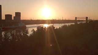 ScheepVaart Oude Maas tijdens Zonsondergang 🚢🌄 Shipping Cargo Dutch Rotterdam [upl. by Lough387]