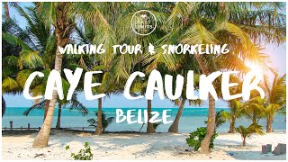 Caye Caulker Belize Vlog  Walking Tour amp Snorkeling [upl. by Darken]