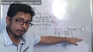 Peptide sequencing problem  CSIR NET analytical problems for Part C [upl. by Ealasaid]