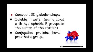 212 Biological Molecules n and o Globular and Fibrous Proteins [upl. by Lazar]