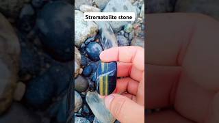 stromatolites 200k stone shorts viralshorts youtubeshorts gemstones diamond crystals [upl. by Doowron17]