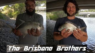 BULIMBA CREEK FISHING NICE TREVALLY  BREAM SAFE RELEASE [upl. by Annemarie368]