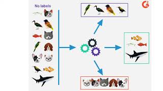 Machine Learning Types Supervised Unsupervised Reinforcement Learning machinelearning [upl. by Chapen]