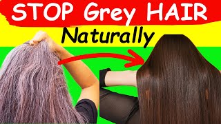 Defy Aging Natural Gray Hair Reversal [upl. by Samala]