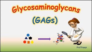 Why Glycosaminoglycans  GAGs are Essential for Your Health [upl. by Llezniuq]